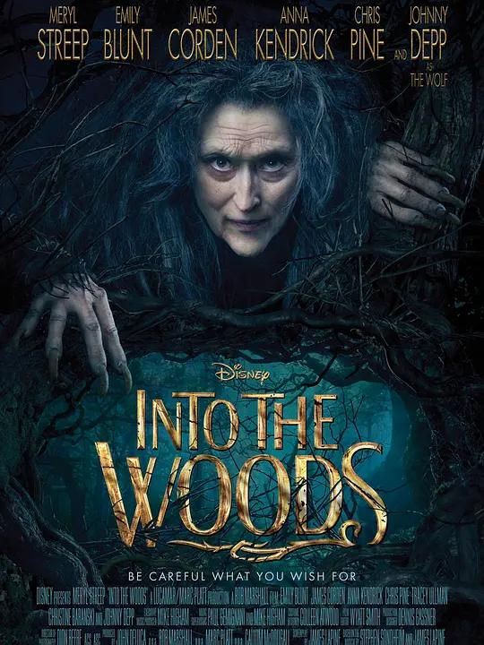 [蓝光原盘] 魔法黑森林 Into the Woods (2014) / 拜访森林 / 走进森林 / Into.the.Woods.2014.1080p.BluRay.AVC.DTS-HD.MA.7.1