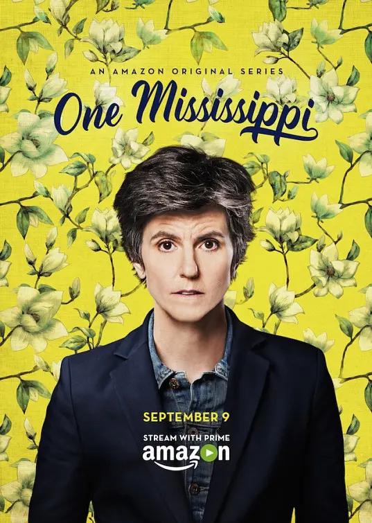 [4K剧集] 密西西比 第一季 One Mississippi Season 1 (2016) / One.Mississippi.S01.2160p.AMZN.WEB-DL.x265.10bit.HDR.DDP5.1