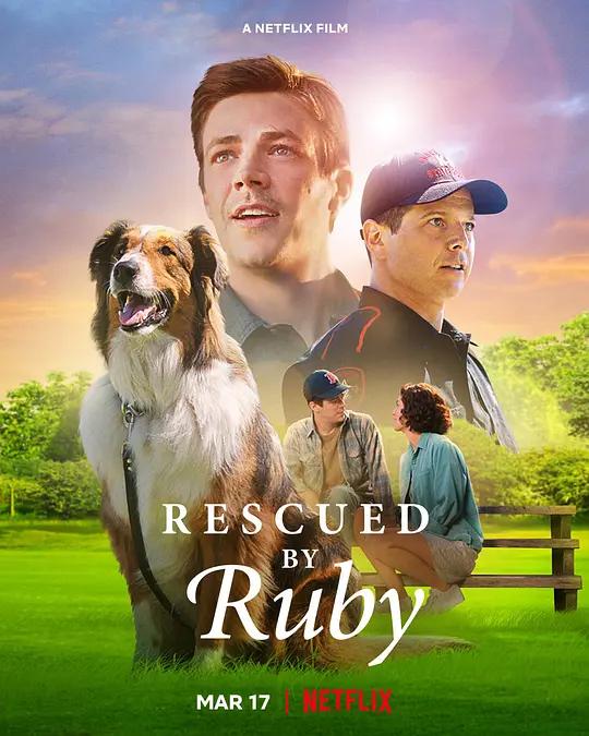 义犬救主 4K下载 Rescued by Ruby (2022) / 搜救犬露比 / Ruby the Hero Dog / Rescued.by.Ruby.2022.2160p.NF.WEB-DL.x265.10bit.HDR.DDP5.1.Atmos