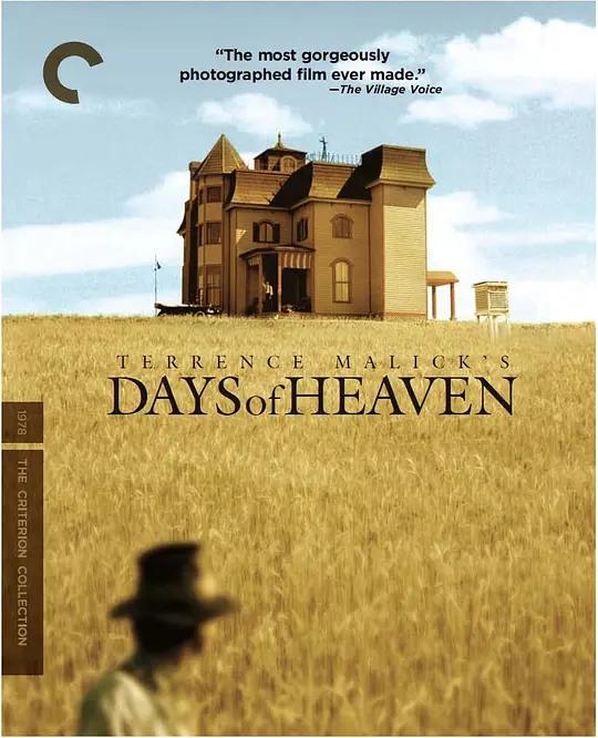 天堂之日 Days of Heaven (1978) / 梦断天涯(港) / 天堂岁月 / 梦断情天 / 情来自有方 / Days.of.Heaven.1978.Criterion.2160p.UHD.BluRay.DV.HDR.HEVC.DTS-HD.MA.5.1