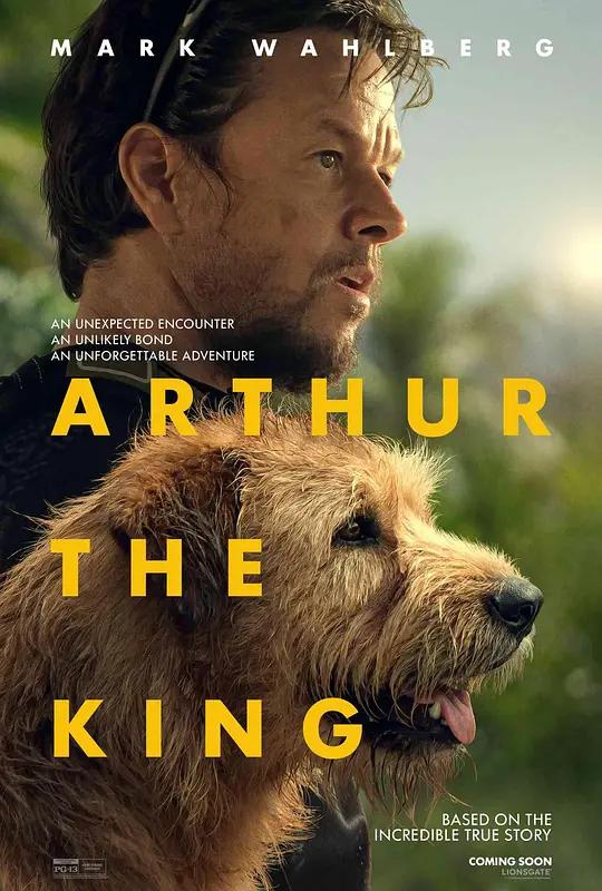 冠军亚瑟 Arthur the King (2024) / 极限长征(台) / 铁人狗狗(港) / Arthur.the.King.2024.HDR.2160p.WEB.h265