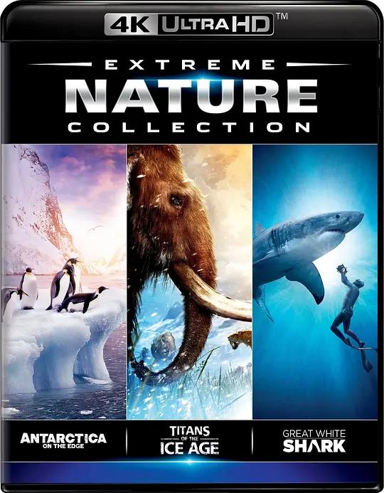 [4K蓝光原盘] [IMAX][纪录片][极限自然系列收藏版] 大白鲨 Great White Shark (2013) / Great.White.Shark.2013.DOCU.2160p.BluRay.REMUX.HEVC.SDR.DTS-HD.MA.5.1