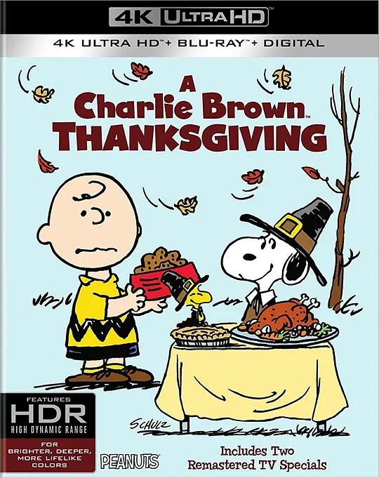 史努比的故事：查理布朗的感恩节 4K蓝光原盘下载 A Charlie Brown Thanksgiving (1973) / A.Charlie.Brown.Thanksgiving.1973.2160p.BluRay.REMUX.HEVC.DTS-HD.MA.5.1