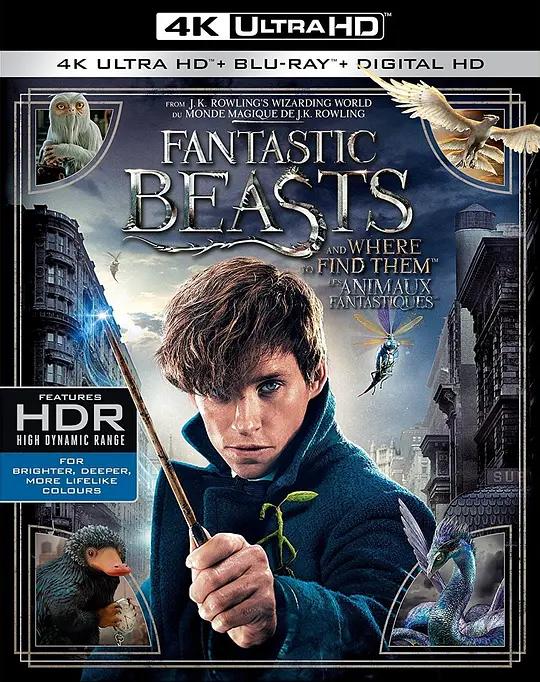 神奇的动物在哪里 Fantastic Beasts and Where to Find Them (2016)/怪兽与它们的产地(港/台) / 神奇生物在哪里 / 神奇的野兽以及在哪里能找到它们 / Fantastic.Beasts.and.Where.to.Find.Them.2016.2160p.BluRay.REMUX.HEVC.DTS-HD.MA.TrueHD.7.1.Atmos