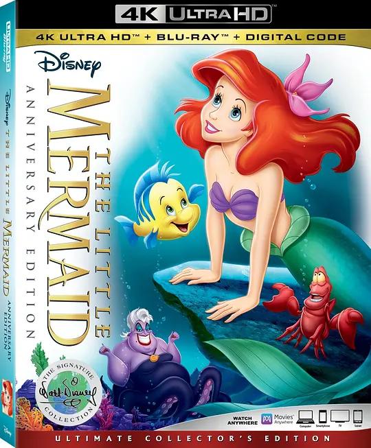 小美人鱼 4K蓝光原盘下载 The Little Mermaid (1989) / 小鱼仙 / 小美人鱼3D版 / The Little Mermaid 3D / The.Little.Mermaid.1989.2160p.BluRay.REMUX.HEVC.DTS-HD.MA.TrueHD.7.1.Atmos