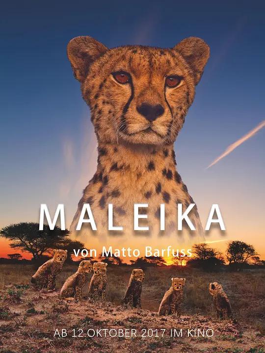 [4K纪录片] 非洲：动物乐园 Maleika (2017) / Maleika.2017.DOCU.GERMAN.COMPLETE.UHD.BLURAY