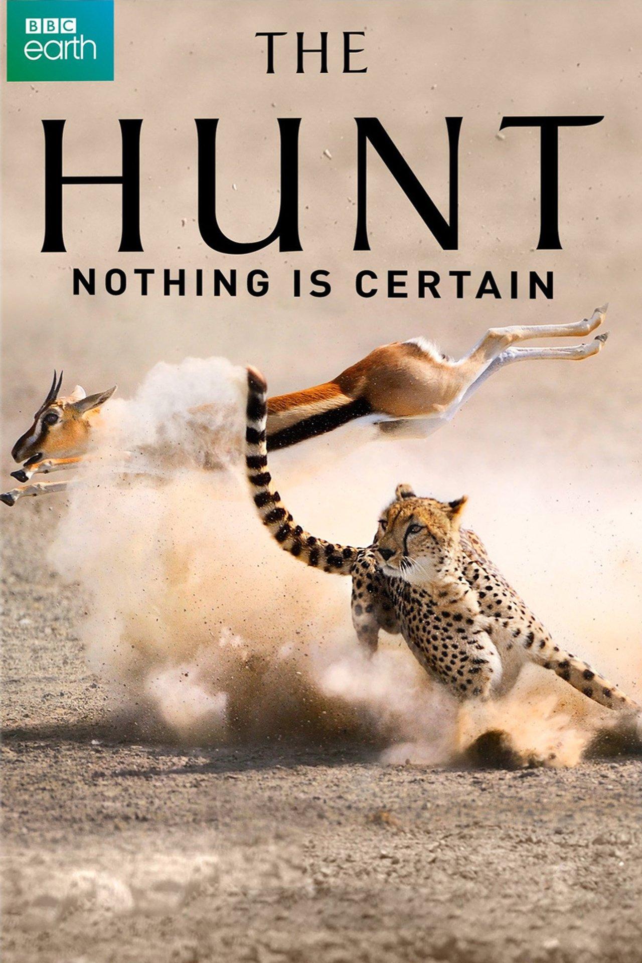 猎捕 4K The Hunt